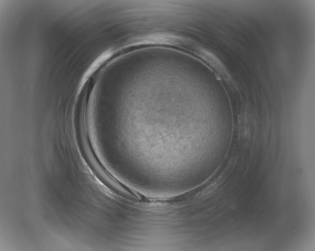 X0000081611180200701151357