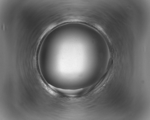 X0000081611181200701151357