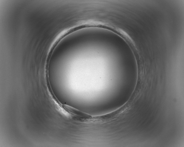 X0000081611183200701151357