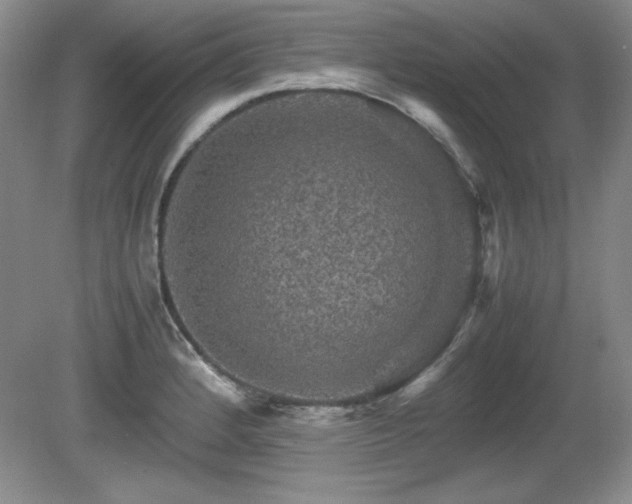 X0000081611184200701151357