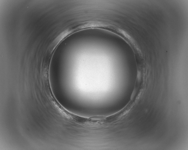 X0000081611185200701151357