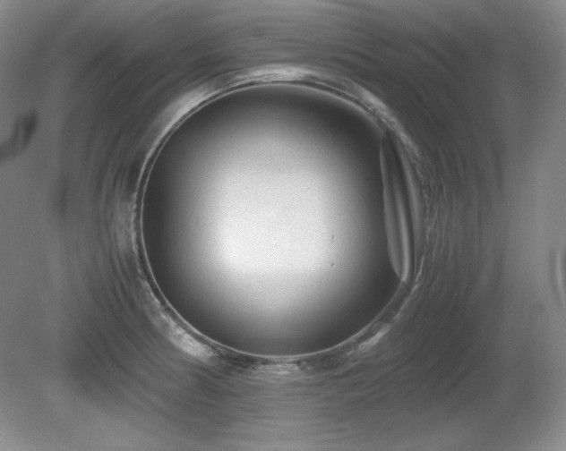 X0000081611186200701151357