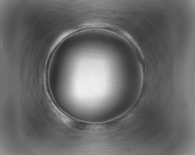 X0000081611187200701151357