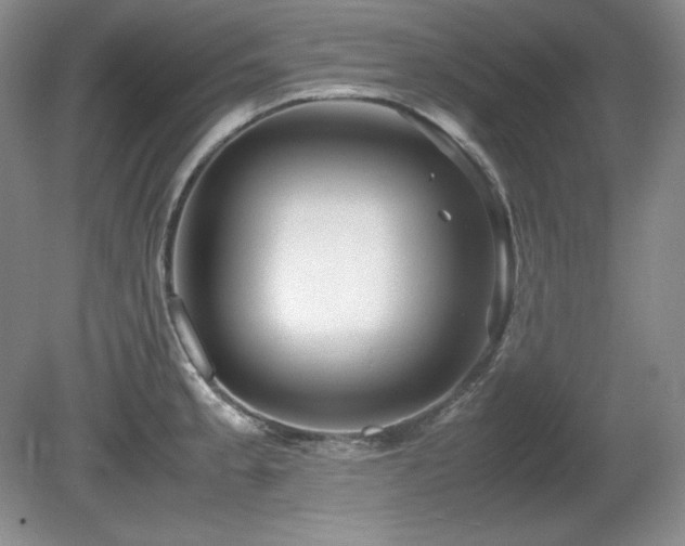 X0000081611189200701151357