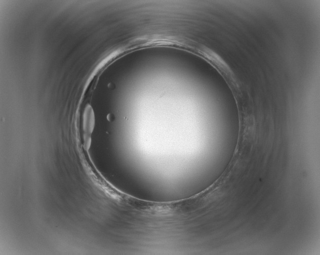 X0000081611190200701151357