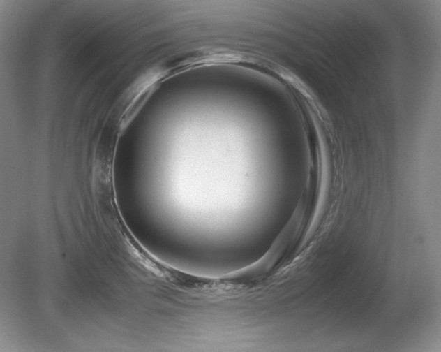 X0000081611193200701151357