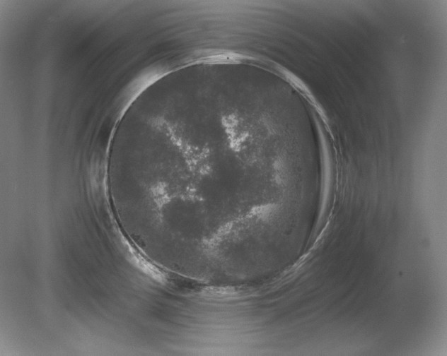 X0000081611194200701151357