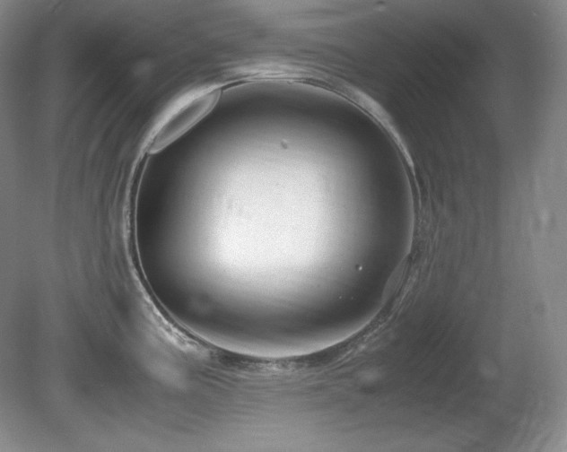 X0000081611195200701151357