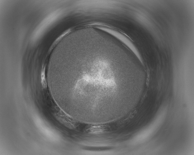 X0000081611198200701151357