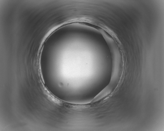 X0000081611200200701151357