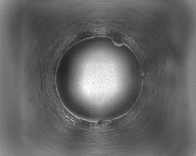 X0000081611201200701151356