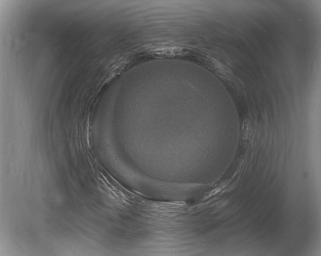 X0000081611202200701151356