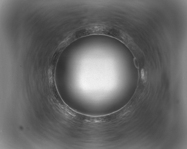 X0000081611203200701151356