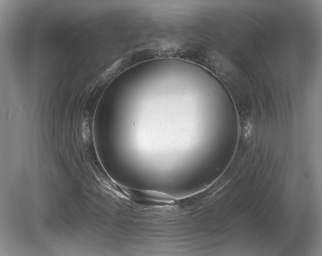 X0000081611204200701151356