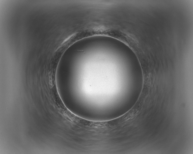 X0000081611205200701151356