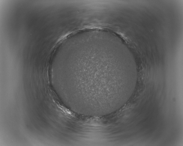 X0000081611206200701151356