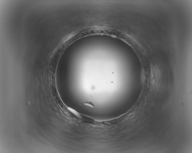 X0000081611207200701151356