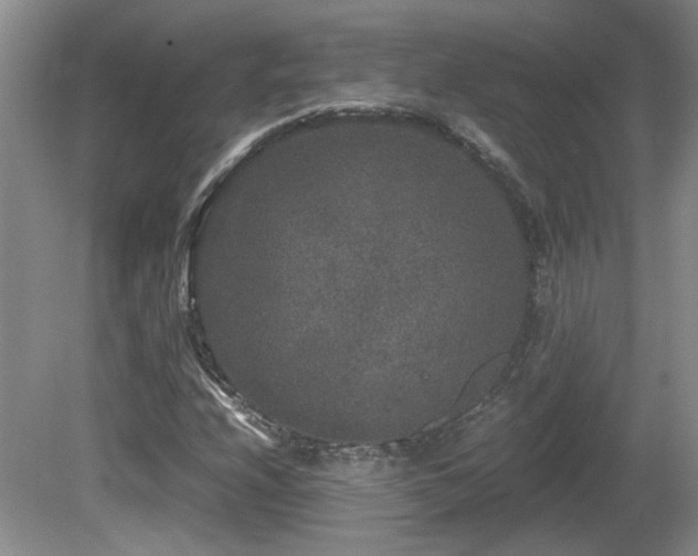 X0000081611208200701151356