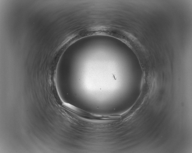 X0000081611209200701151356