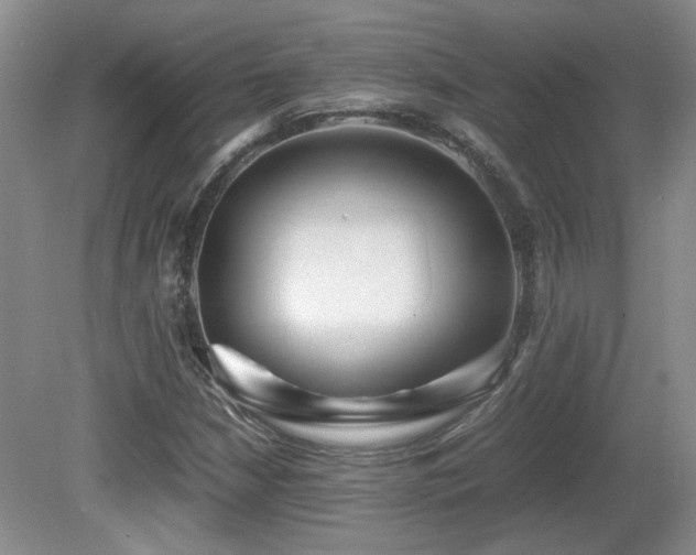 X0000081611210200701151356