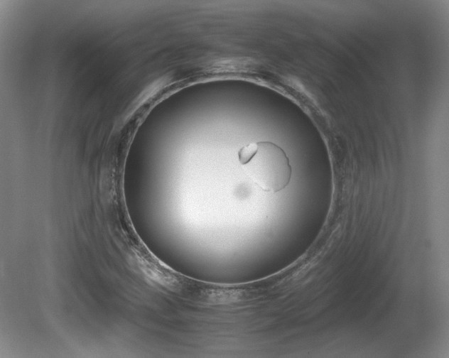 X0000081611211200701151356