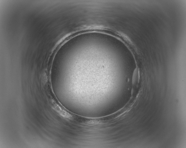 X0000081611212200701151356