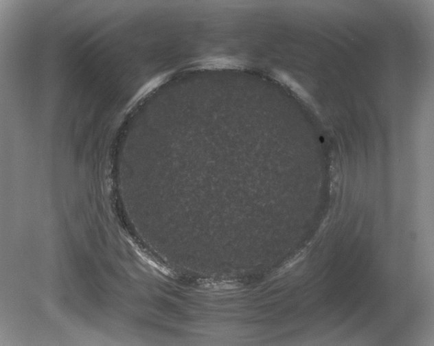 X0000081611213200701151356