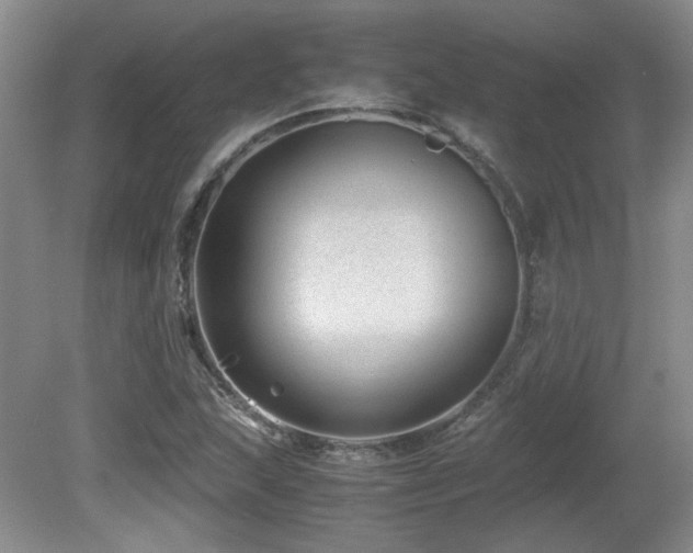 X0000081611215200701151356