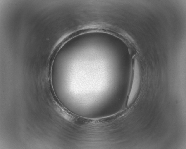 X0000081611216200701151356