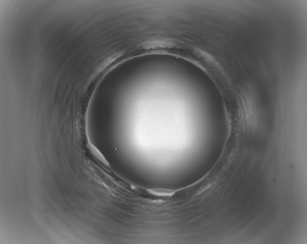 X0000081611217200701151356