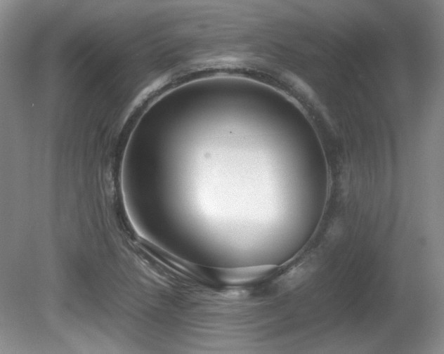 X0000081611218200701151356