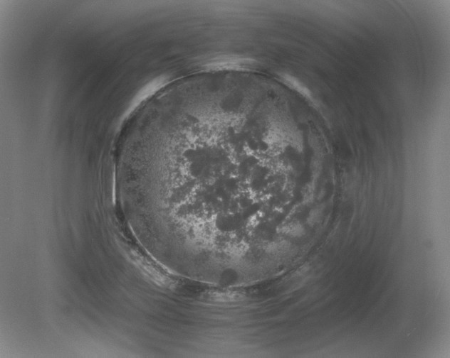 X0000081611219200701151356