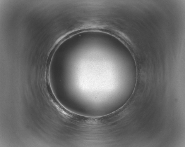 X0000081611220200701151356