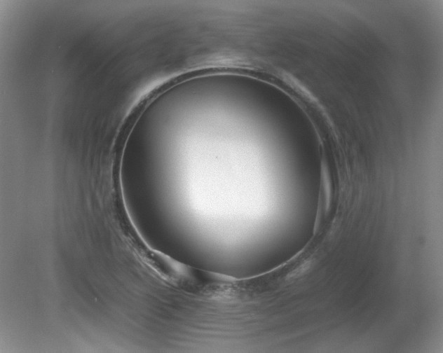 X0000081611222200701151356