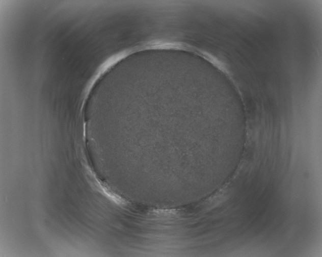 X0000081611223200701151356