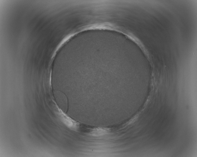 X0000081611224200701151356