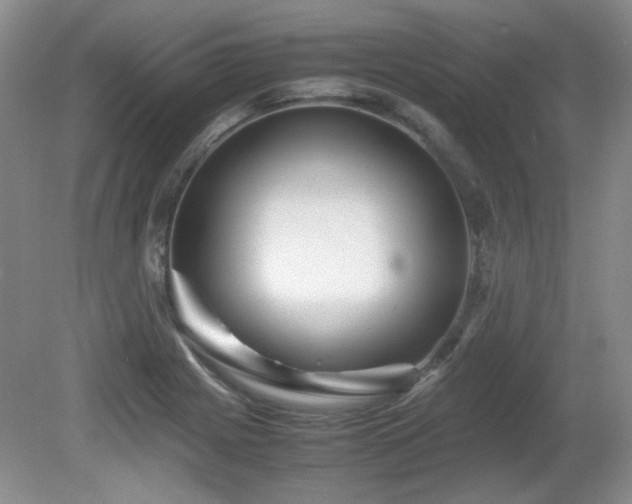 X0000081611225200701151356