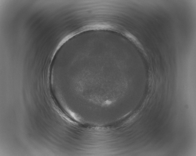 X0000081611226200701151357