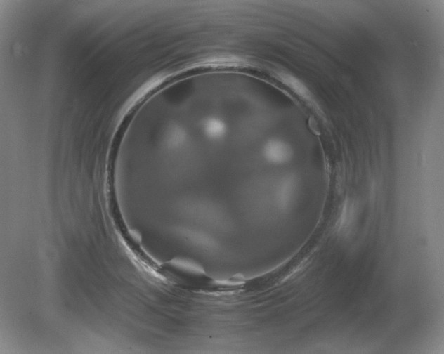 X0000081611229200701151357