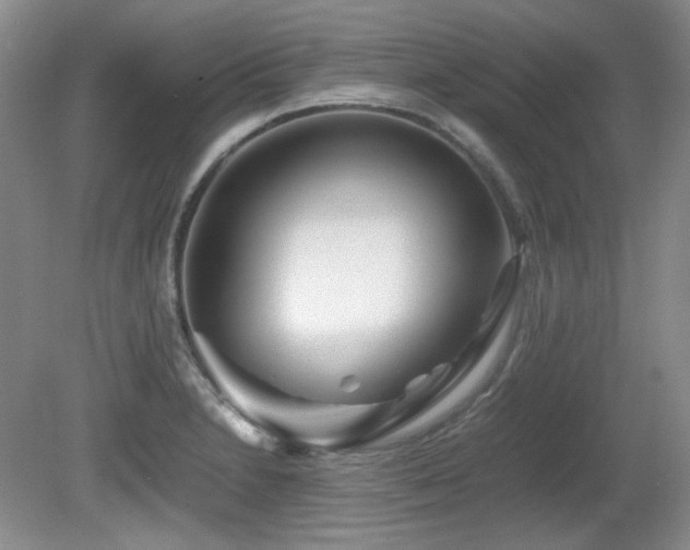 X0000081611230200701151357