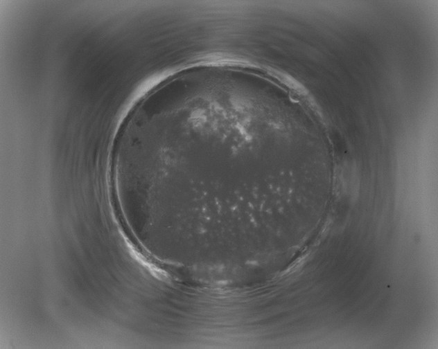 X0000081611231200701151357