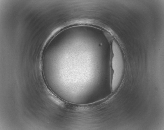 X0000081611232200701151357