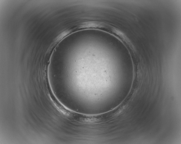 X0000081611233200701151357