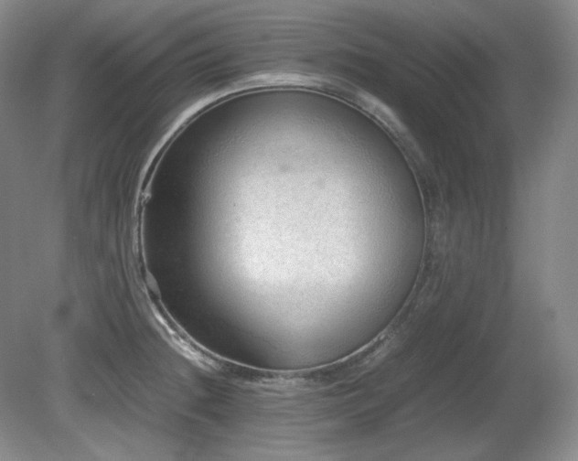 X0000081611236200701151357