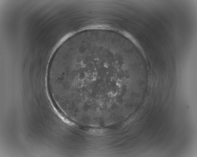 X0000081611237200701151357