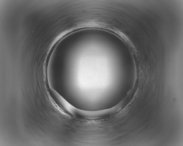 X0000081611238200701151357