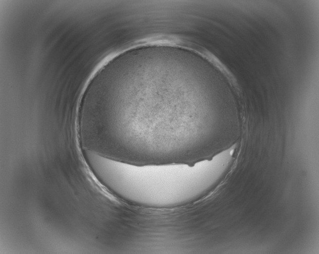 X0000081611240200701151357