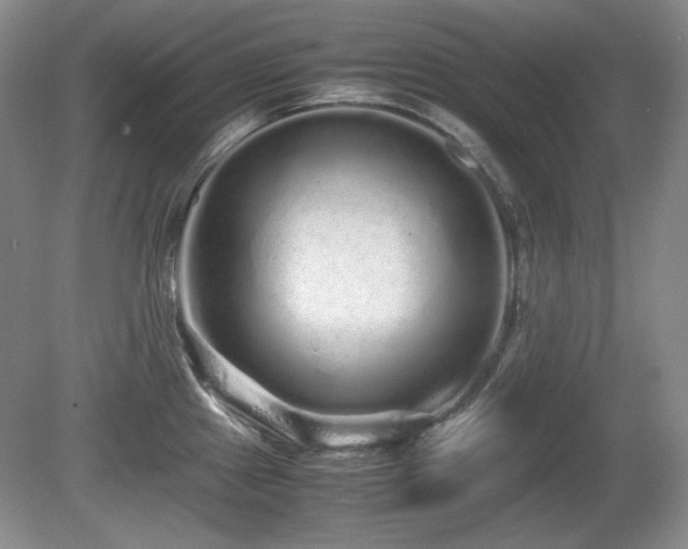 X0000081611241200701151357