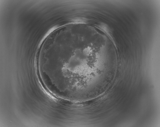 X0000081611243200701151357