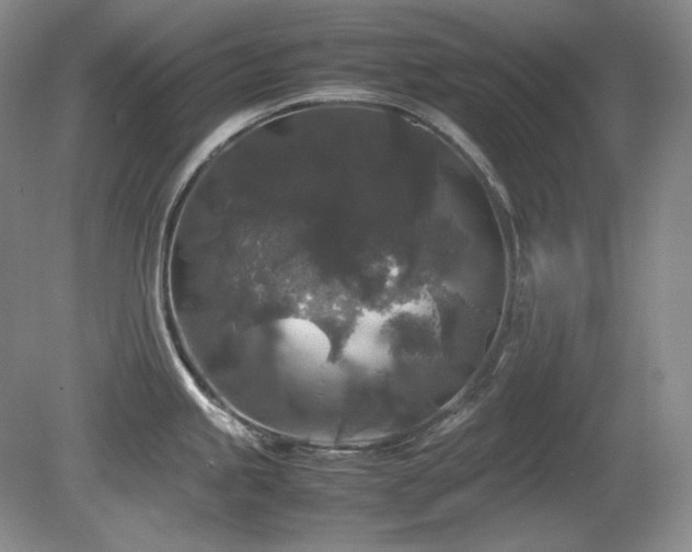 X0000081611245200701151357